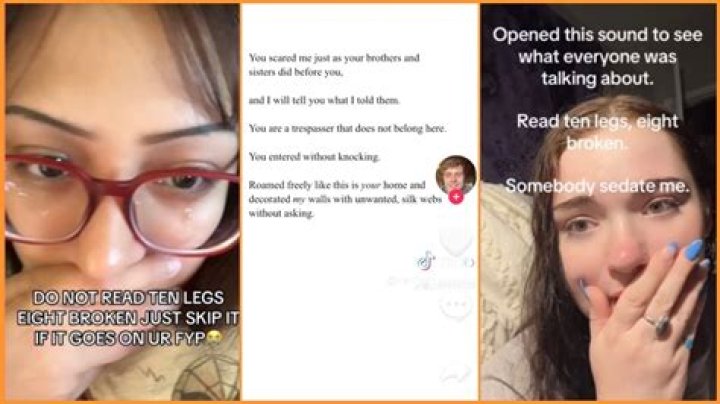 Animal lovers break their own hearts with poignant ‘Ten Legs, Eight Broken’ poem