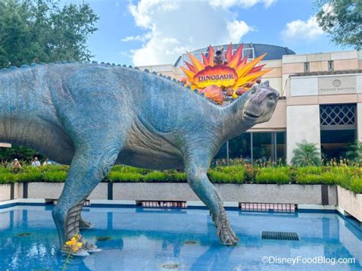 Are there drops in DINOSAUR Animal Kingdom? – Celebrity