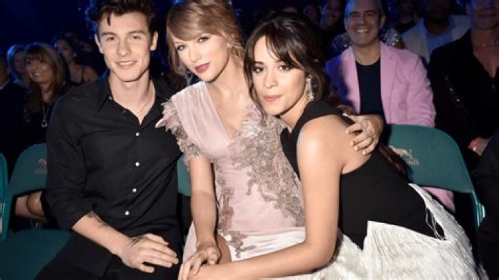 Camila Cabello and Shawn Mendez had the best night at Taylor Swift’s Eras Tour. Here’s the Proof.