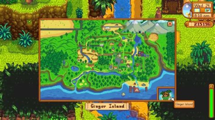 Can You Build On Ginger Island? – Celebrity
