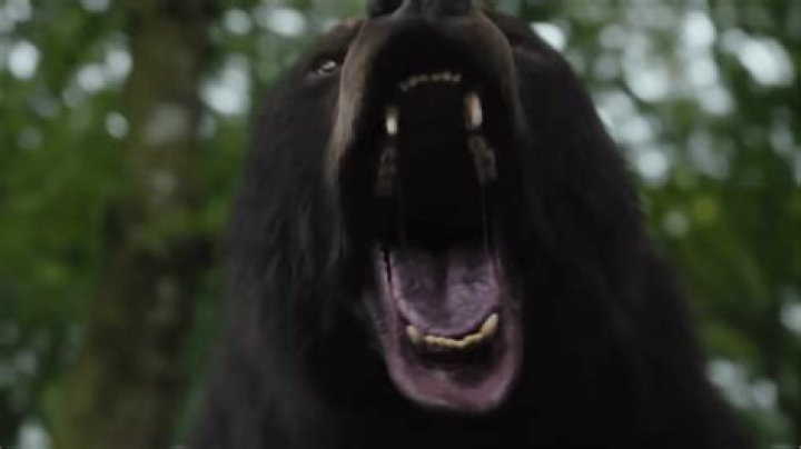 ‘Cocaine Bear’ is getting its own Funko and there’s no holding back on the violence