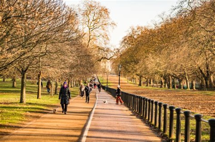 Girls Aloud run at Hyde Park in memory of Sarah Harding