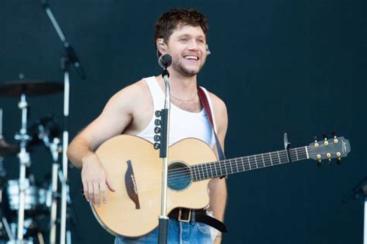 
How Much Money Does Niall Horan Make? Latest Income Salary
