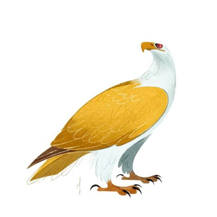 Is Marahute real? – Celebrity