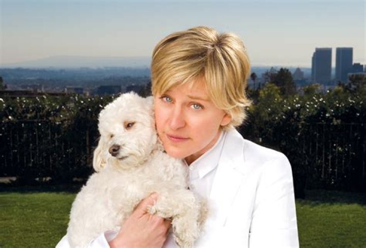 Is Stan from Dog With a Blog still alive? – Celebrity