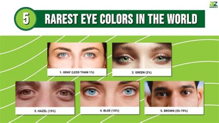 Is There An App That Tells You Your Eye Color? – Celebrity