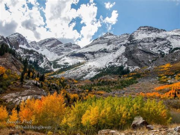 Kaitlyn Brann Dies in Hiking Mishap in Big Cottonwood Canyon