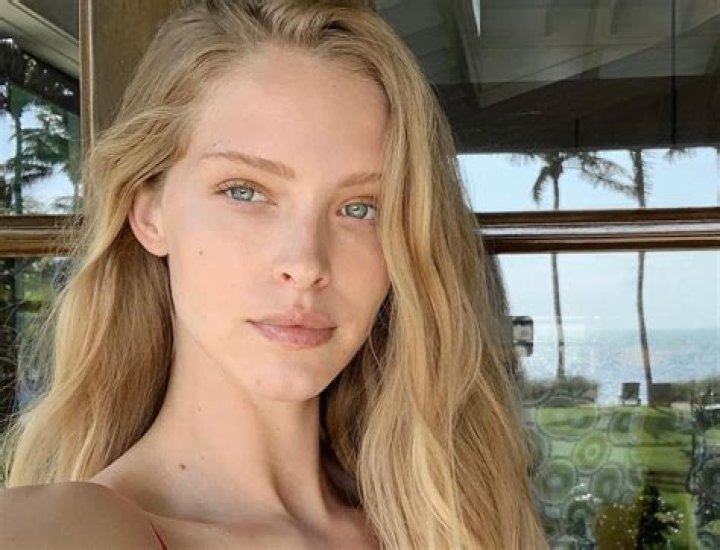 Model Abby Champion Shares Swimsuit Photo on "Happy Birthday" of BF Patrick Schwarzenegger — Celebwell