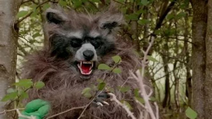 Move over, ‘Cocaine Bear’: ‘Crackcoon’ is gunning for horror’s drug-fueled critter crown