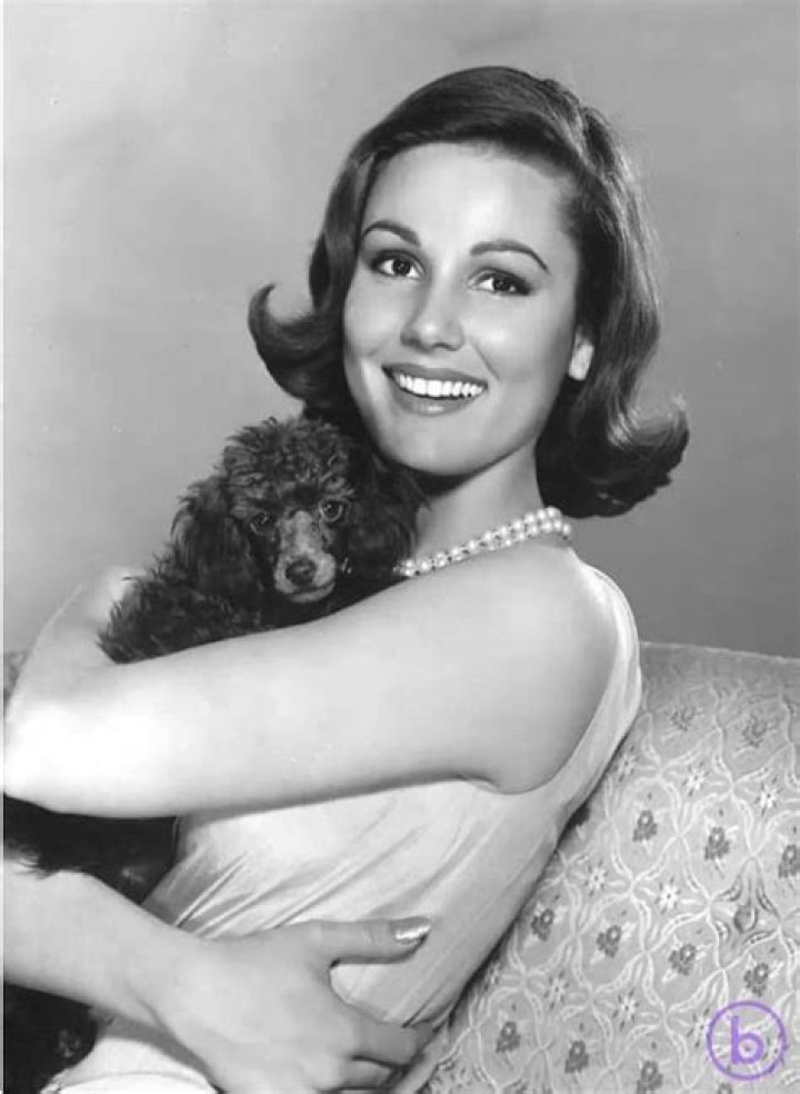 Paula Prentiss Biography - Facts, Childhood, Family Life & Achievements