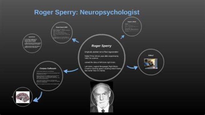 Roger Wolcott Sperry Biography - Childhood, Life Achievements & Timeline