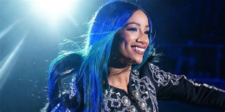 Sasha Banks Biography - Facts, Childhood, Family Life & Achievements