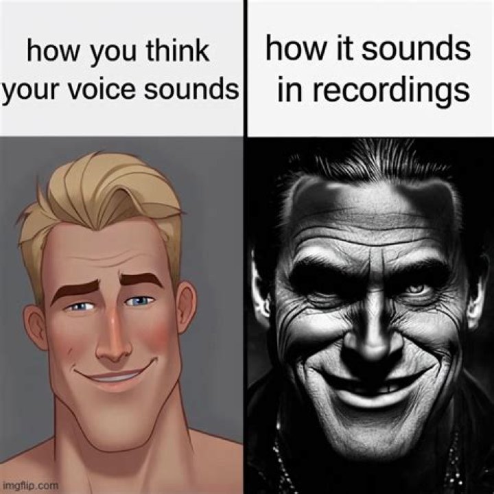 Stamper – Bio, Facts, Family Life of YouTuber, Voice Actor & Animator