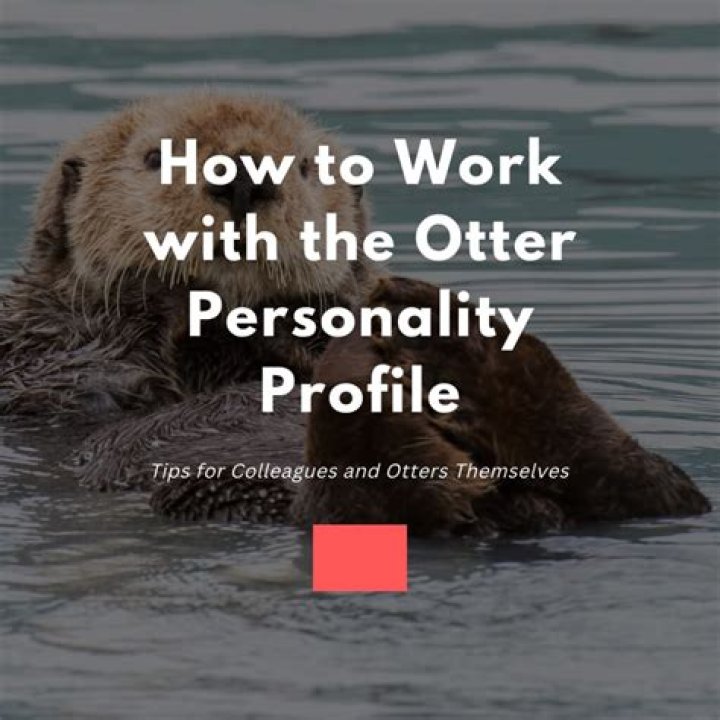 What is an otter personality? – Celebrity