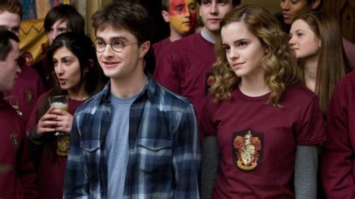 What is S.P.E.W. in ‘Harry Potter?’