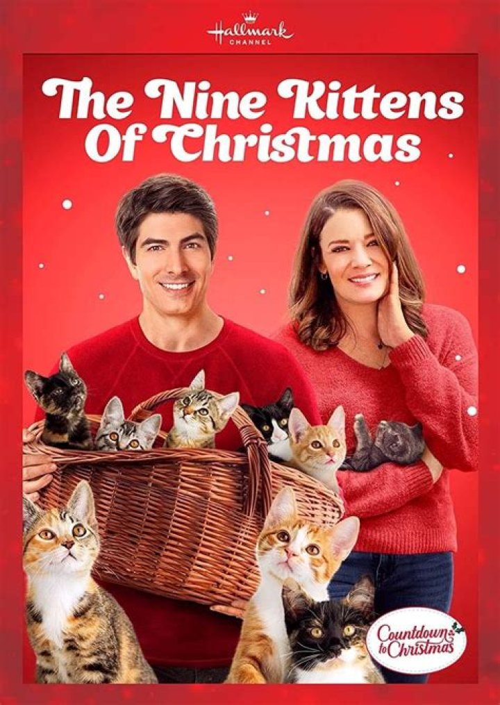What is the name of the stray tabby cat in The Nine Lives of Christmas? – Celebrity
