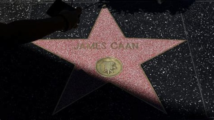 What movies did James Caan star in?