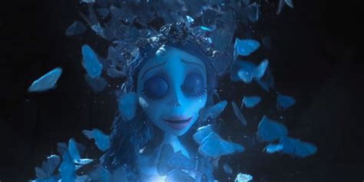 What’s the dog’s name in Corpse Bride? – Celebrity