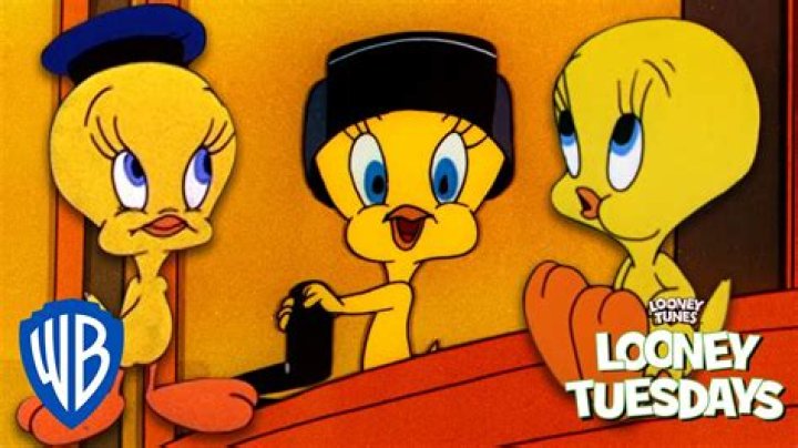 What was the name of the black bird in Looney Tunes? – Celebrity