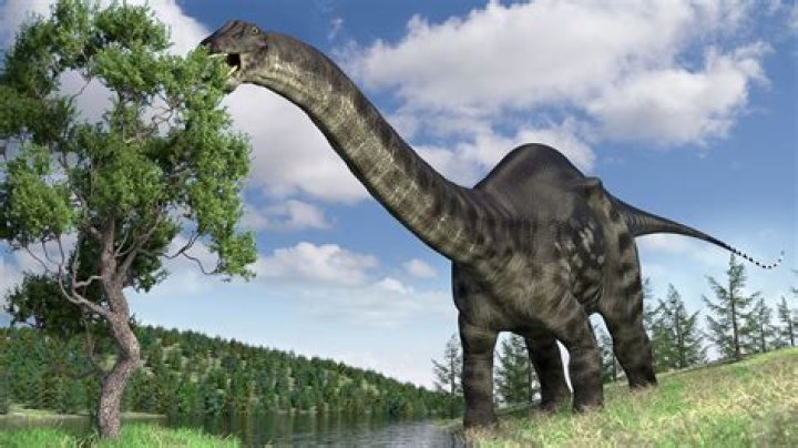 Where did brontosaurus live? – Celebrity