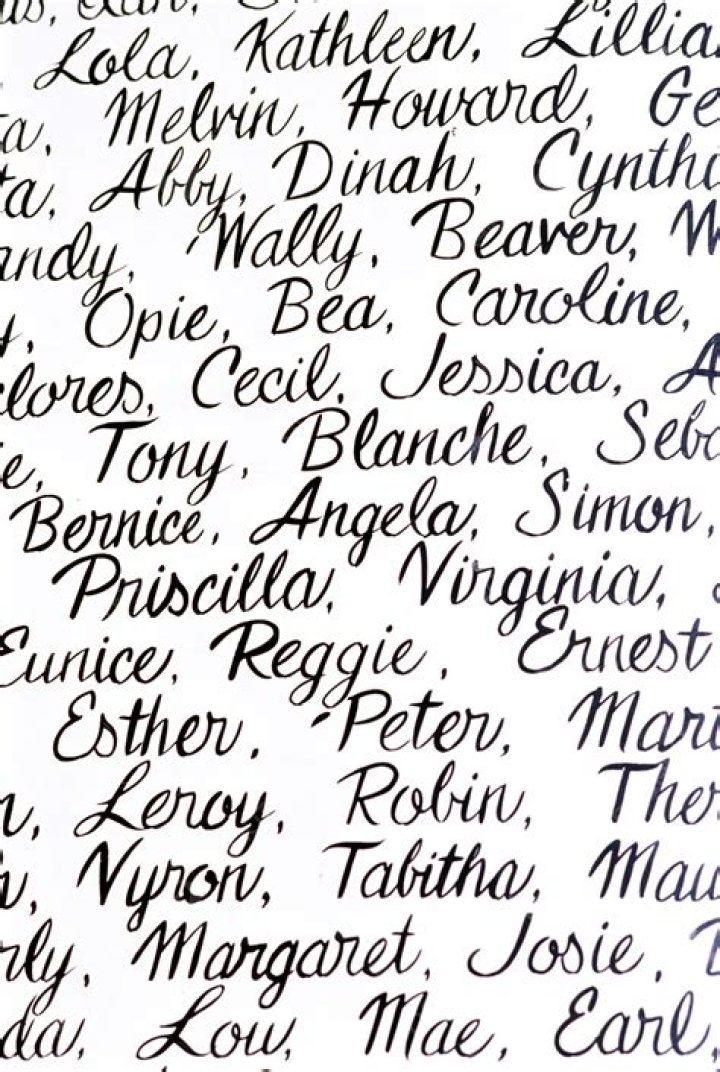 Which shoe is Andy written on? – Celebrity