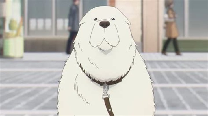 Who is Bond in ‘Spy x Family’?