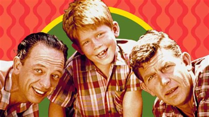 Who played Bert the salesman on The Andy Griffith Show? – Celebrity